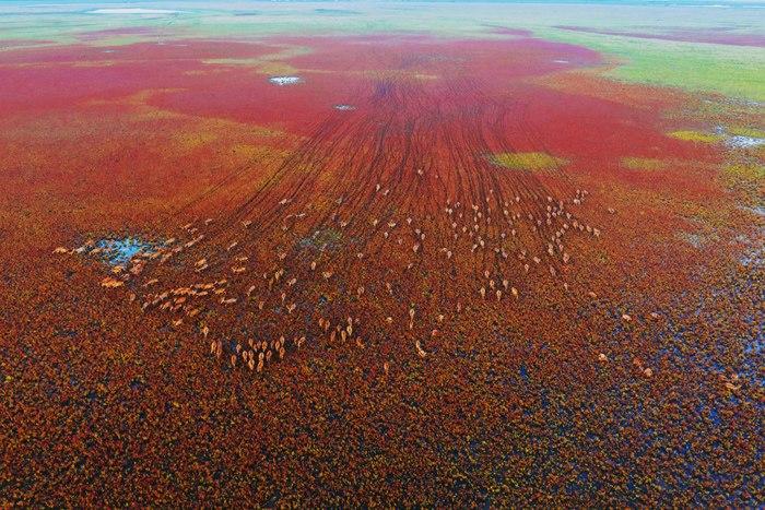 自然?；で锉继?>
     <p>自然?；で锉继?/p>
</a>
        </div>
    </div>
    <!--推荐图集end-->
    <div   id=