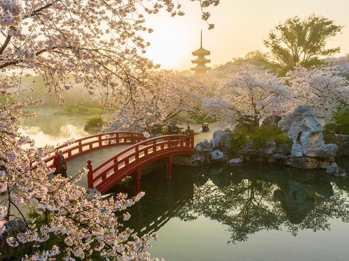 武汉东湖?；ㄊ⒖缭扑蒲?>
     <p>武汉东湖?；ㄊ⒖缭扑蒲?/p>
</a>
        </div>
    </div>
    <!--推荐图集end-->
    <div   id=