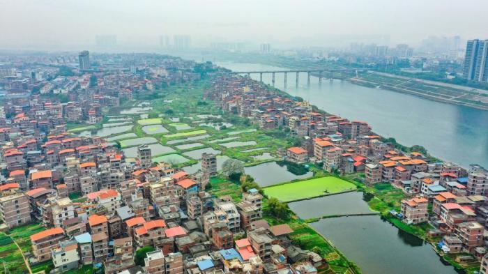 广西梧州：生态蔬菜基地春意盎然