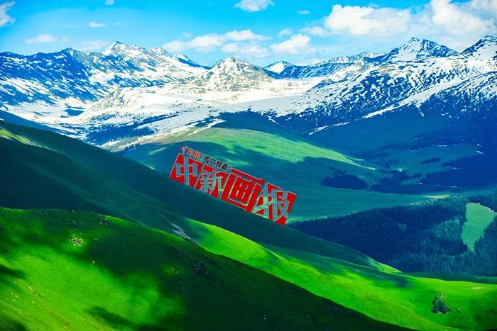 将夏天的“绿” 装进屏幕里，一组护眼壁纸请查收！