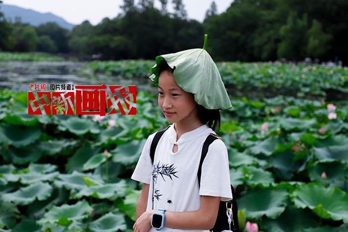 入伏有“凉”方 “花式”避暑轻松Get！