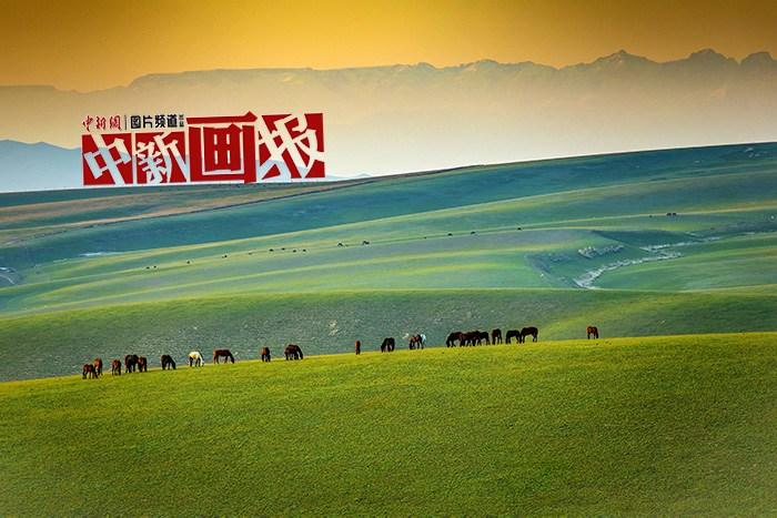 走进“天”边的画卷 共赴大美新疆