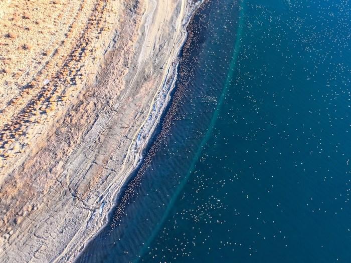 西藏沉错：羊卓雍错流域的生态明珠