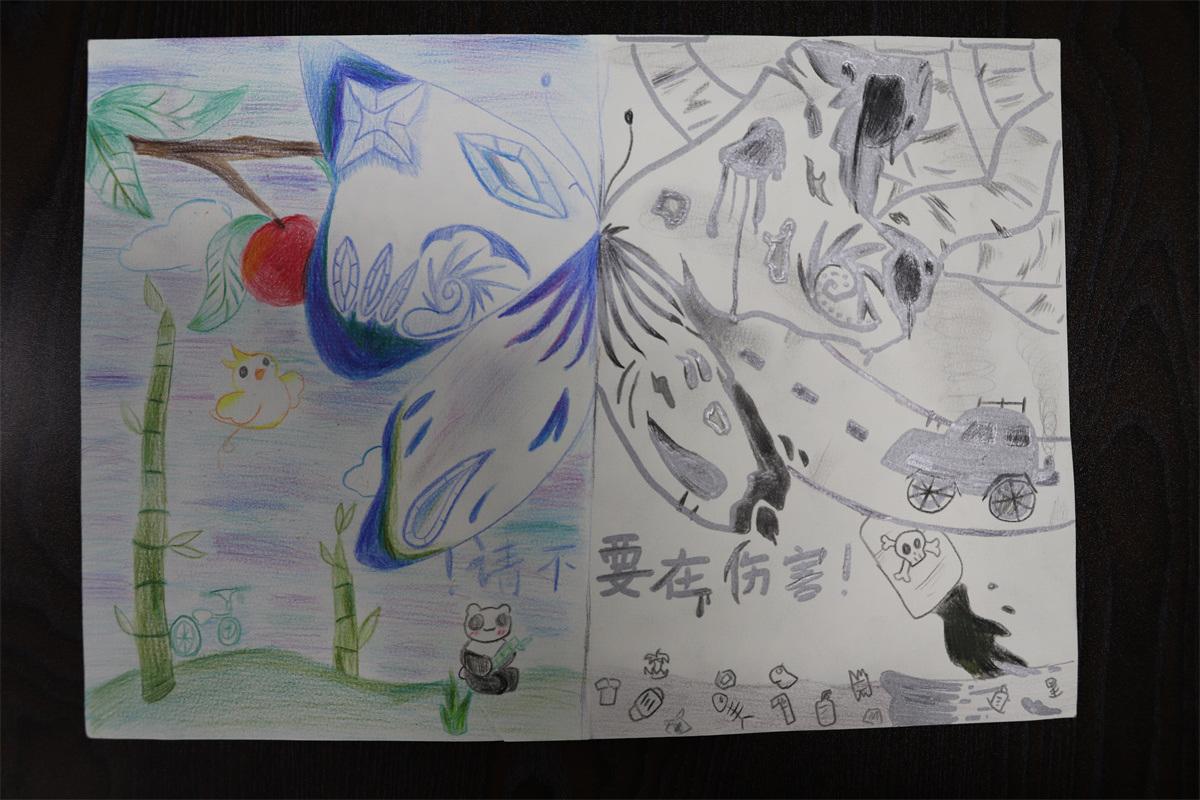 《请不要再伤害！》孙妙然 11岁