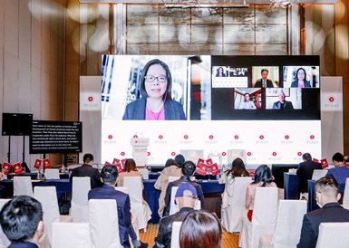 中国经济新形势：解读、展望、总结