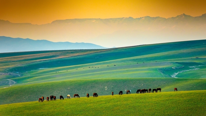走进“天”边的画卷 共赴大美新疆