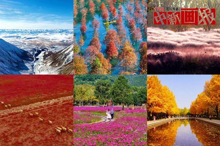 初冬至 大自然多彩冬衣“上新”啦！