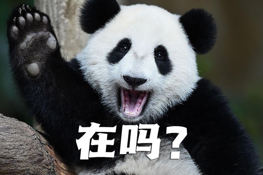 【世界微笑日特刊】嘿嘿，今天你笑了吗？