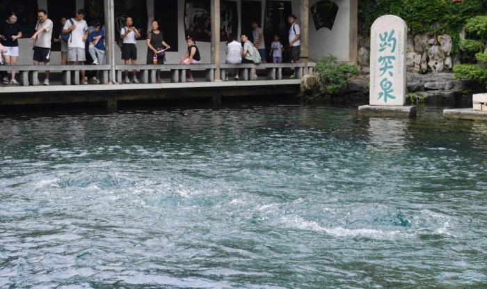 山东济南：趵突泉“水涌若轮”美景重现