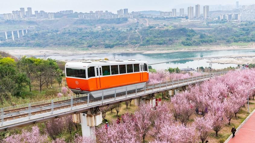 “穿梭春山的缆车”浪漫上线